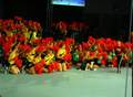 turngala_2005_15.jpg