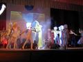 fruehlingsfest_2008_14.jpg